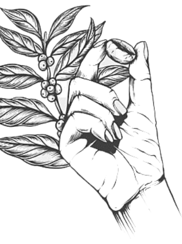 upload/img/20231216170730.png